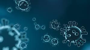 coronavirus 3