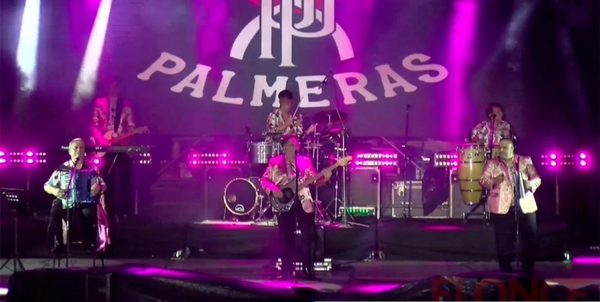 Los palmeras 1
