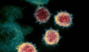 coronavirus wuhan