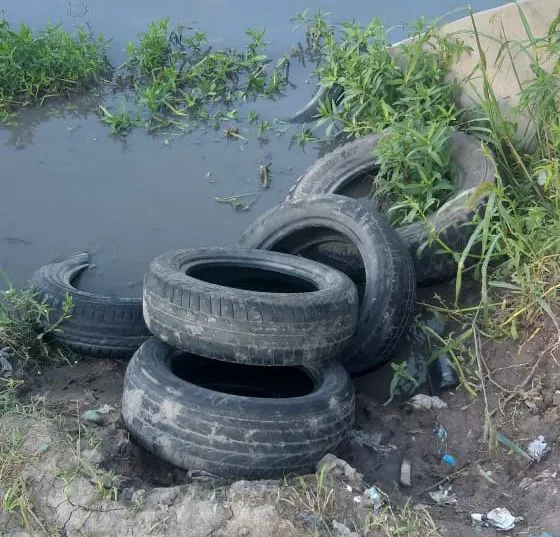 Vialidad - Lagunas 2