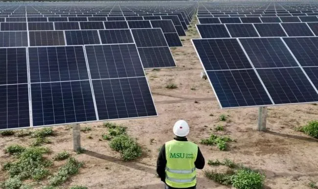Paneles solares