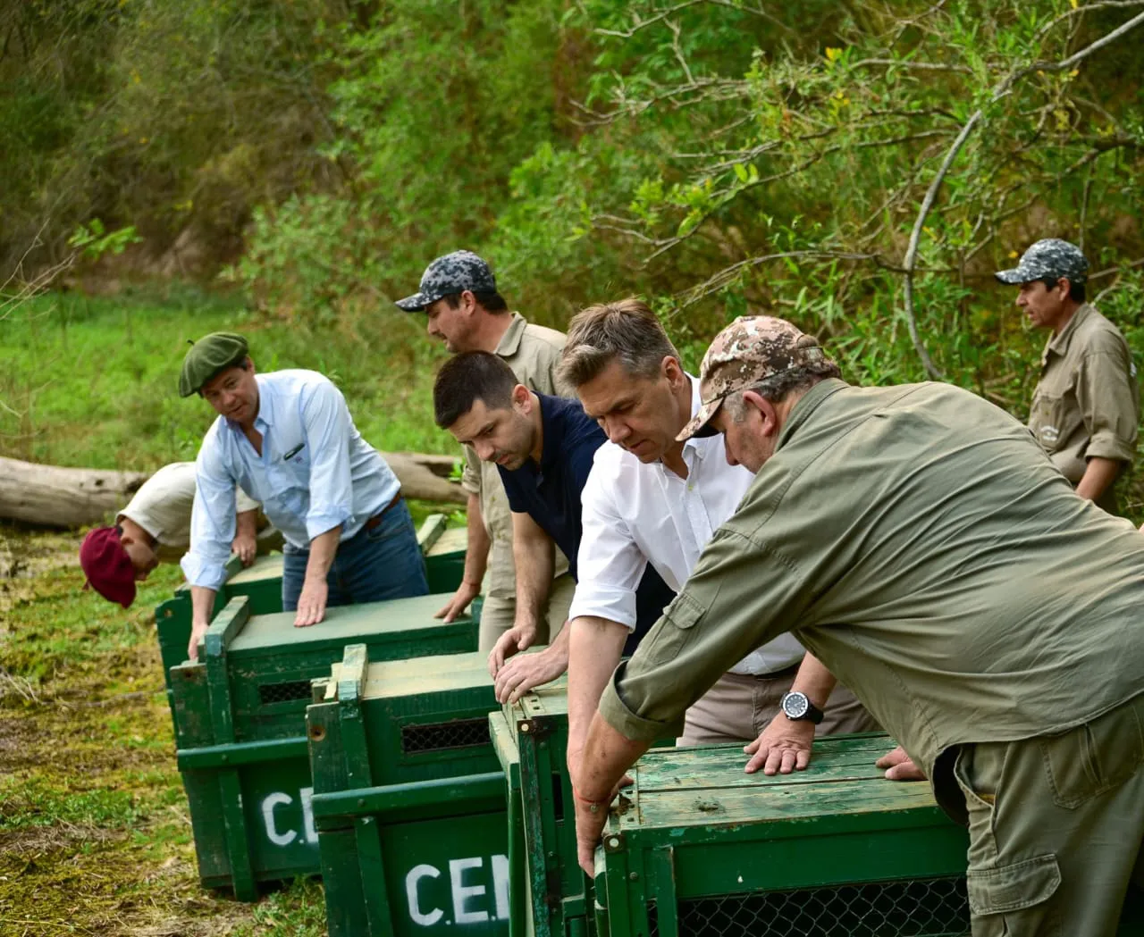 Zdero - animales liberados