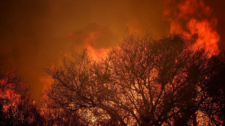 incendios