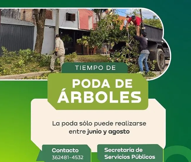 Poda de arboles