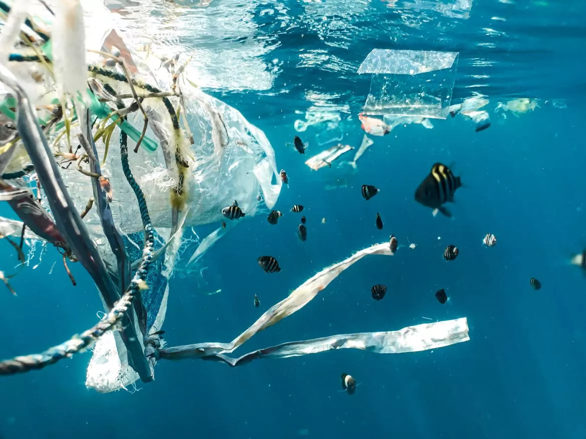 Plastico en el mar