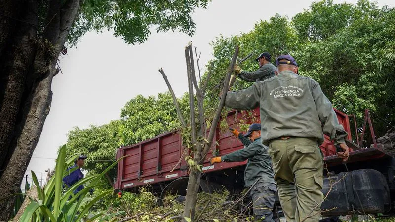 Limpieza de las calles de Barranqueras