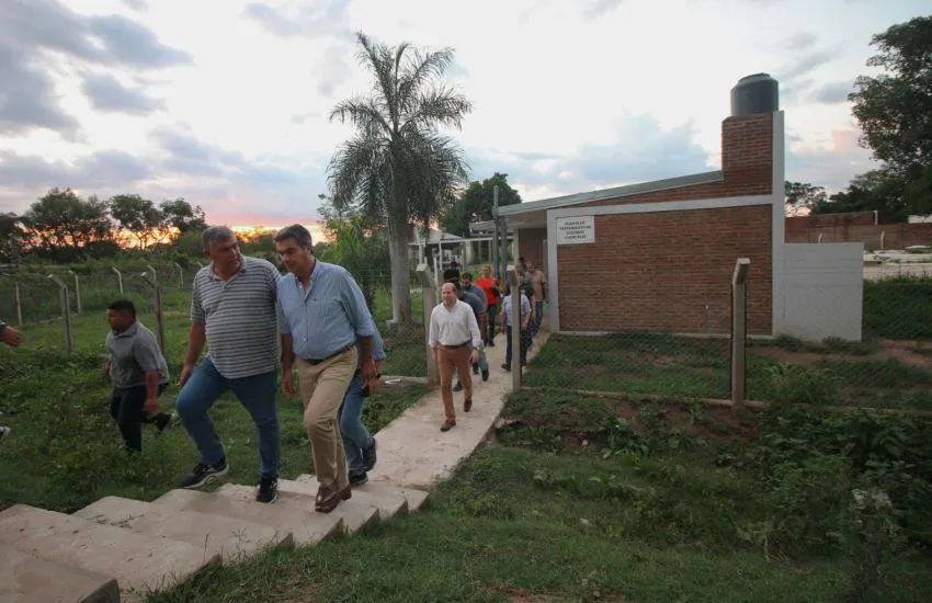 Coqui en la Isla