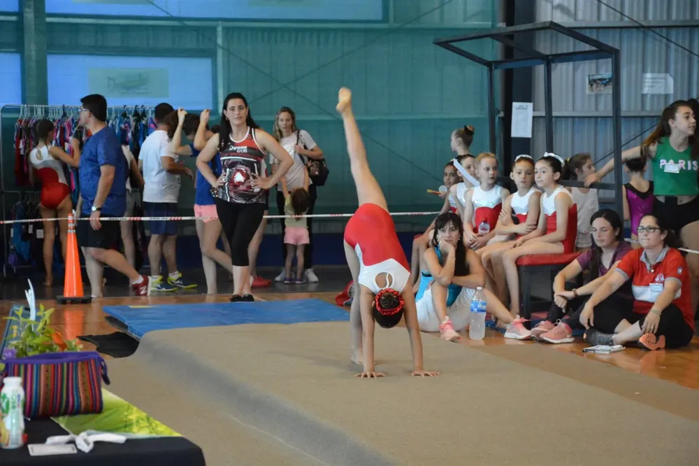 Gimnasia
