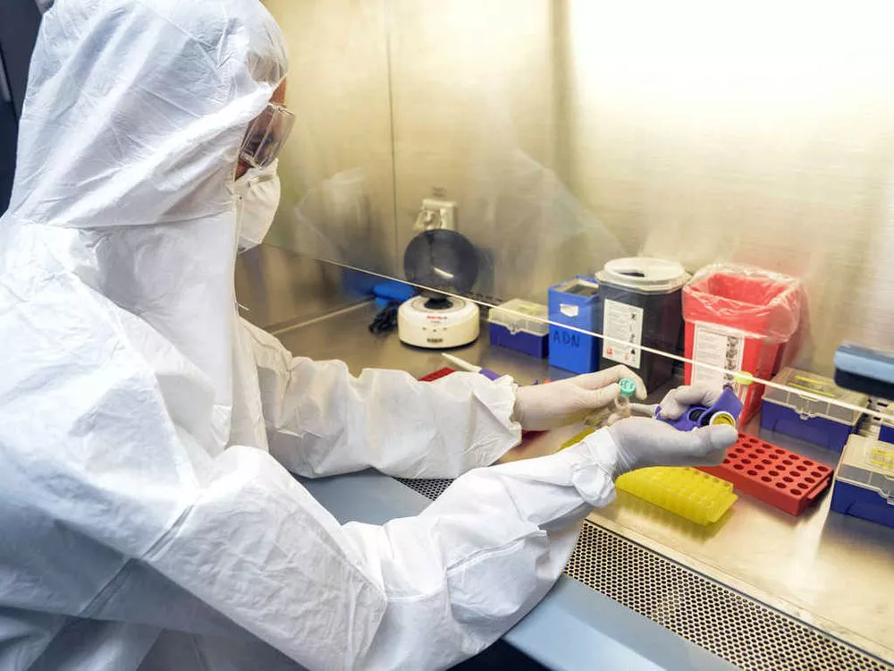 coronavirus