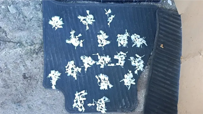 Bochitas de drogas