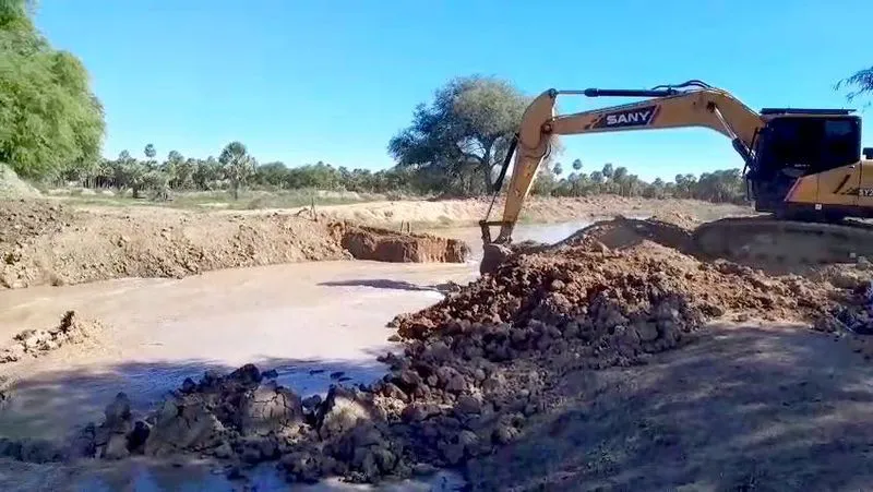 Apa 1