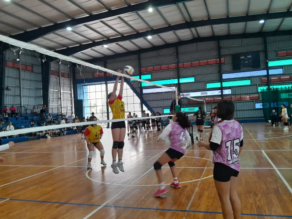 Chaco juega