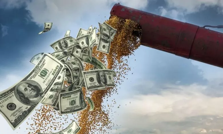 DOLAR SOJA