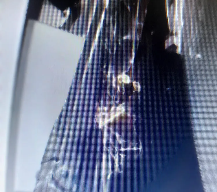 Captura de pantalla