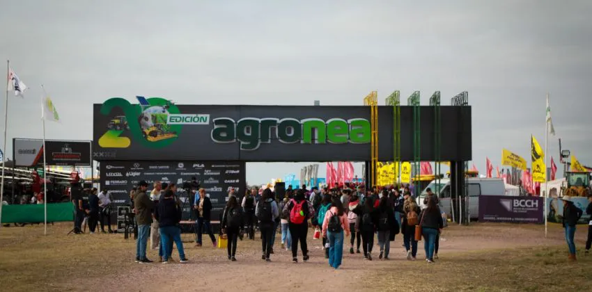 Agronea