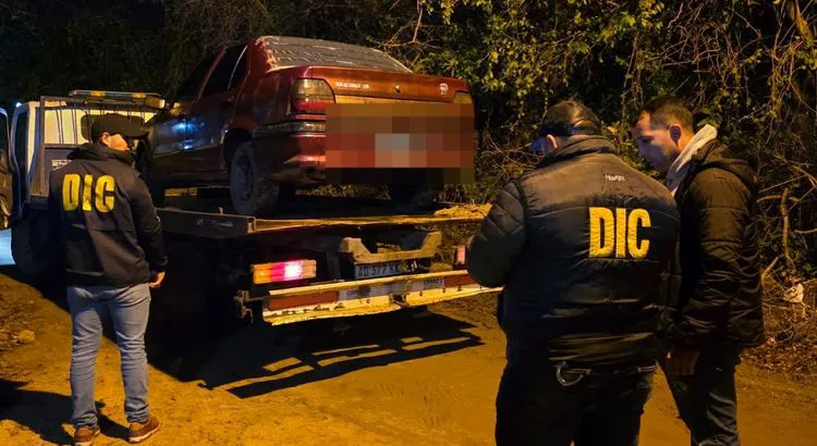 Policiales