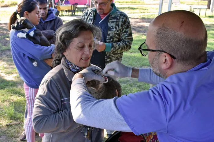 Dejando huellas 1