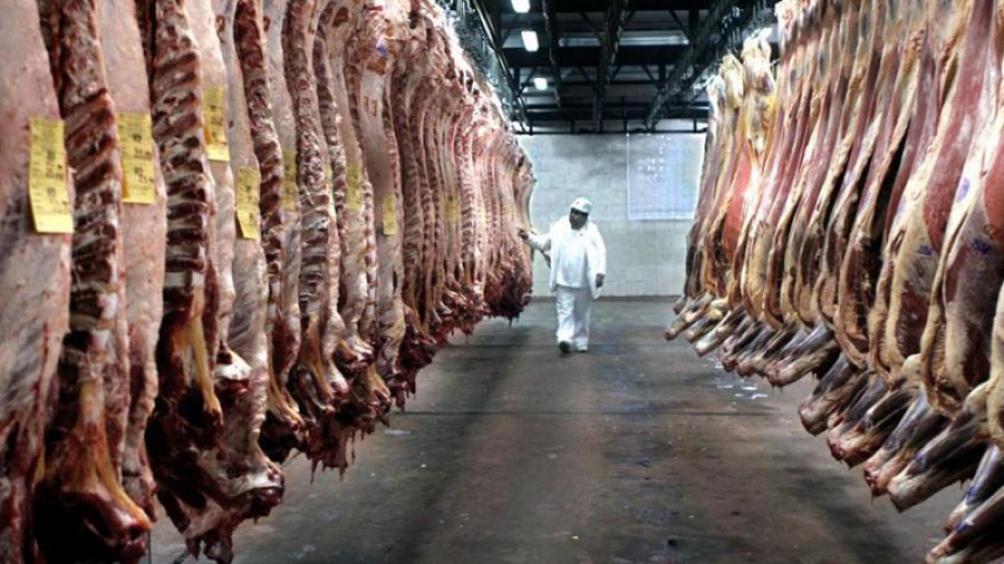 Carnes