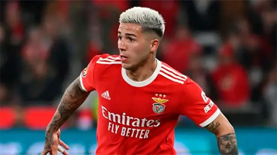 Enzo Fernandez