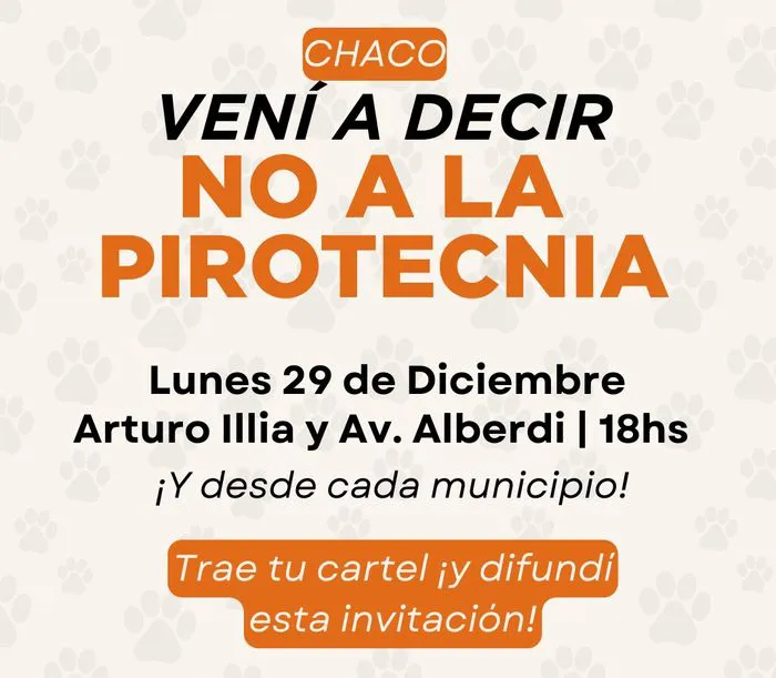 No a la pirotecnia 1