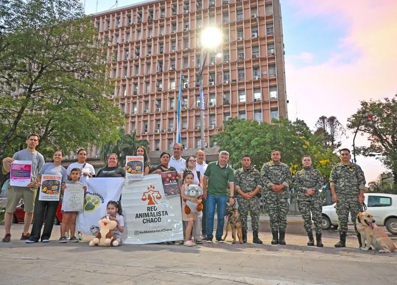 Basta de pirotecnia 1