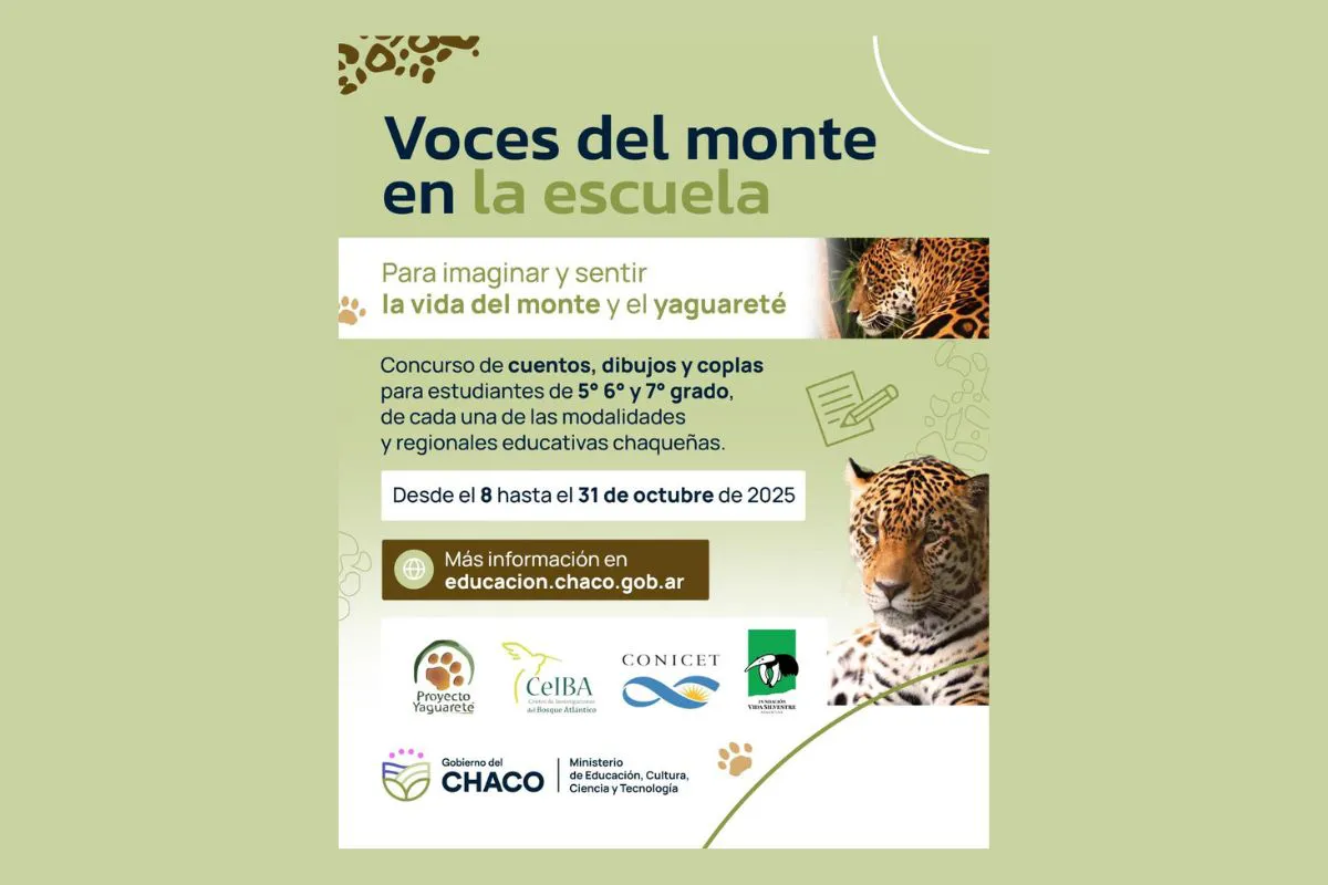 Concurso